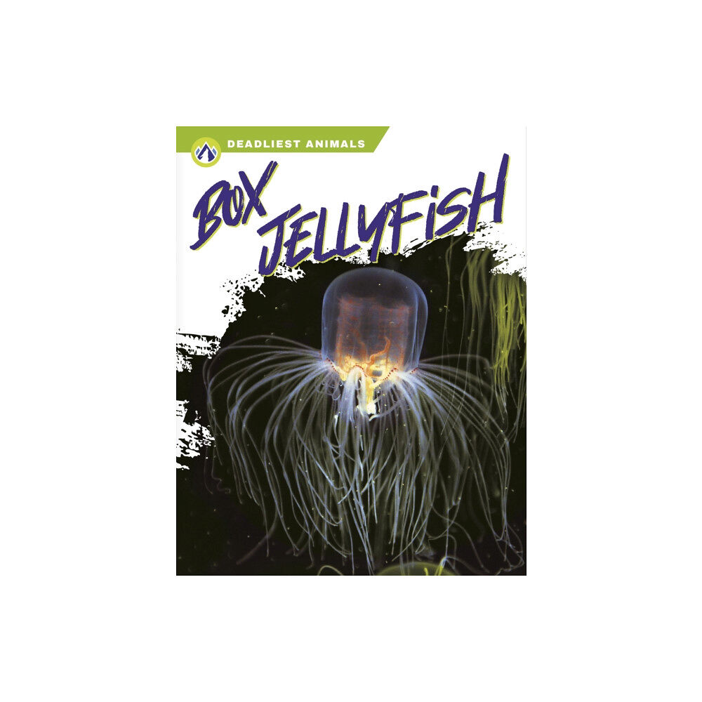 North Star Editions Deadliest Animals: Box Jellyfish (häftad, eng)