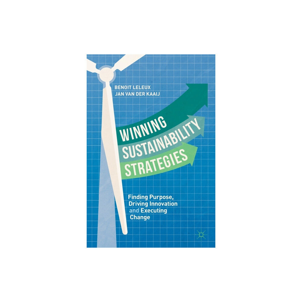 Springer International Publishing AG Winning Sustainability Strategies (häftad, eng)