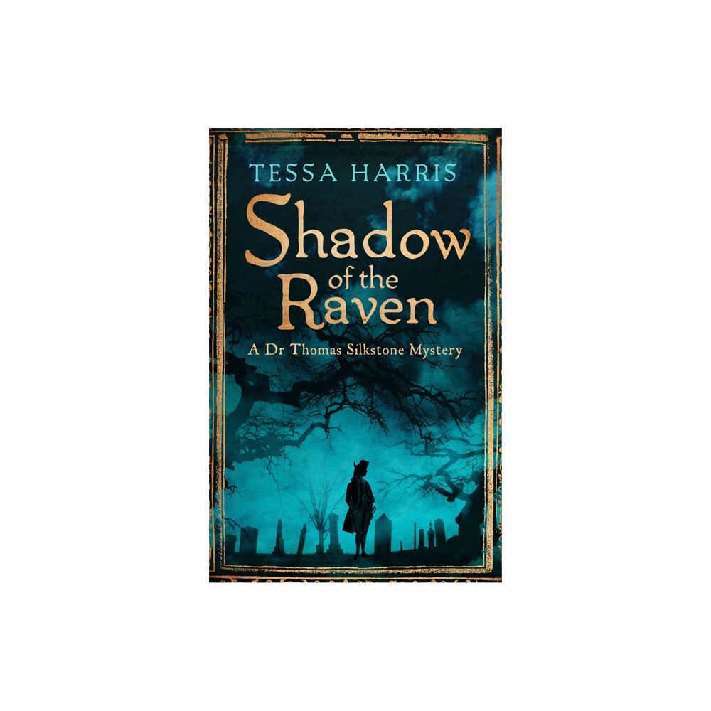 Little, Brown Book Group Shadow of the Raven (häftad, eng)