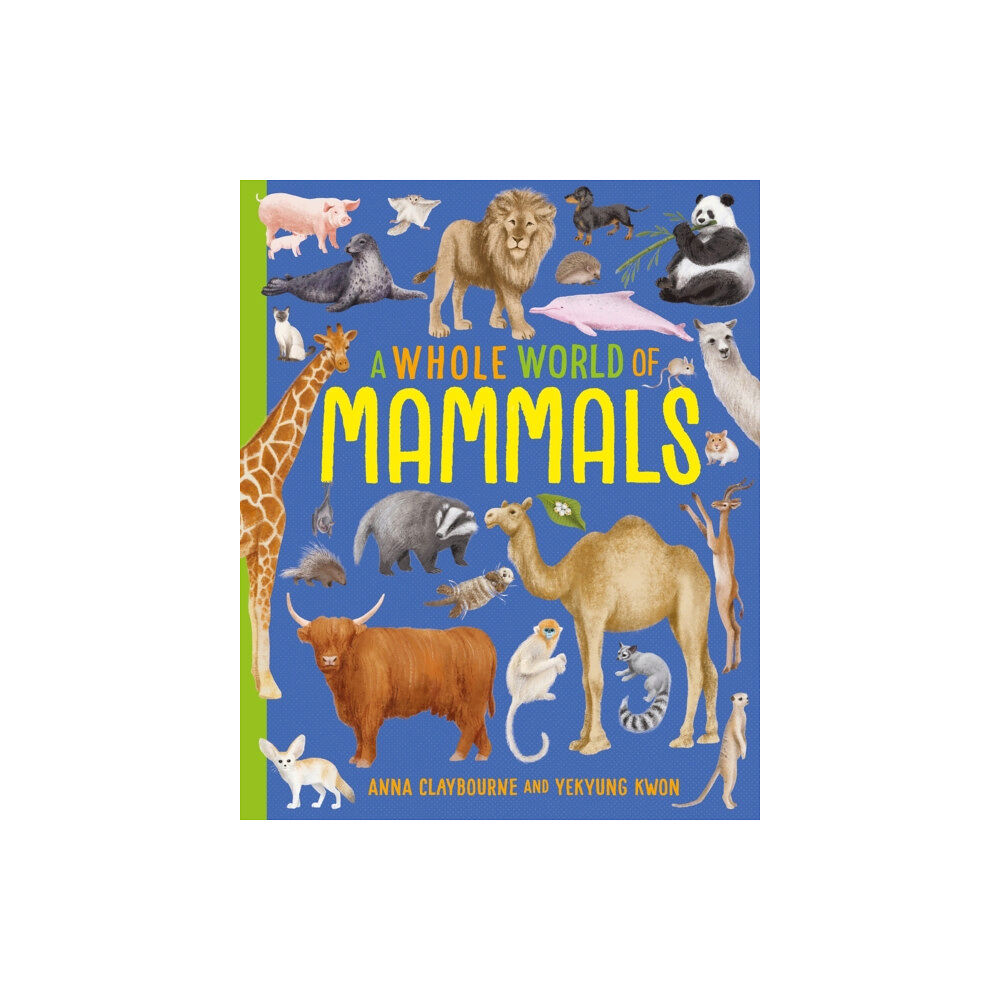 Hachette Children's Group A Whole World of...: Mammals (inbunden, eng)