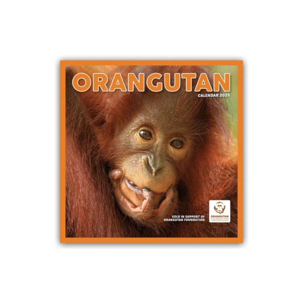 Carousel Calendars Orangutan Square Wall Calendar 2025 (häftad, eng)