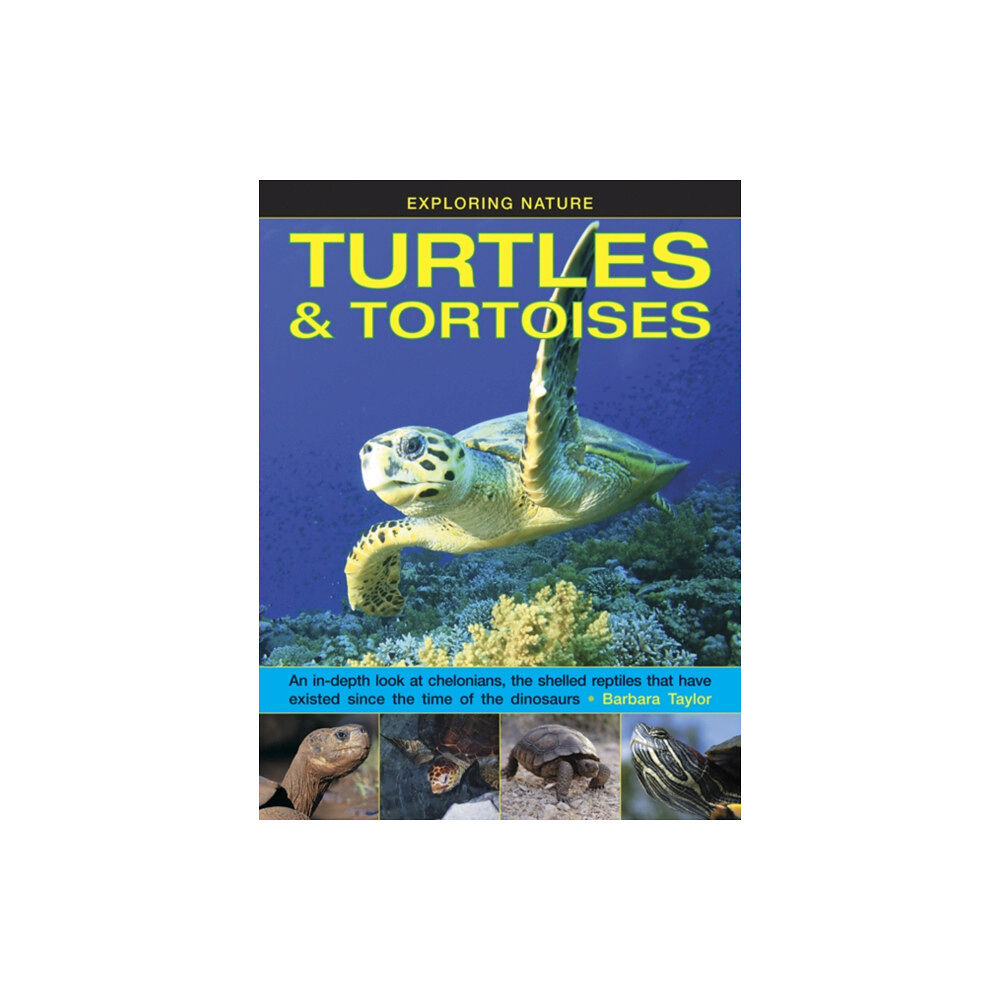 Anness publishing Exploring Nature: Turtles & Tortoises (inbunden, eng)