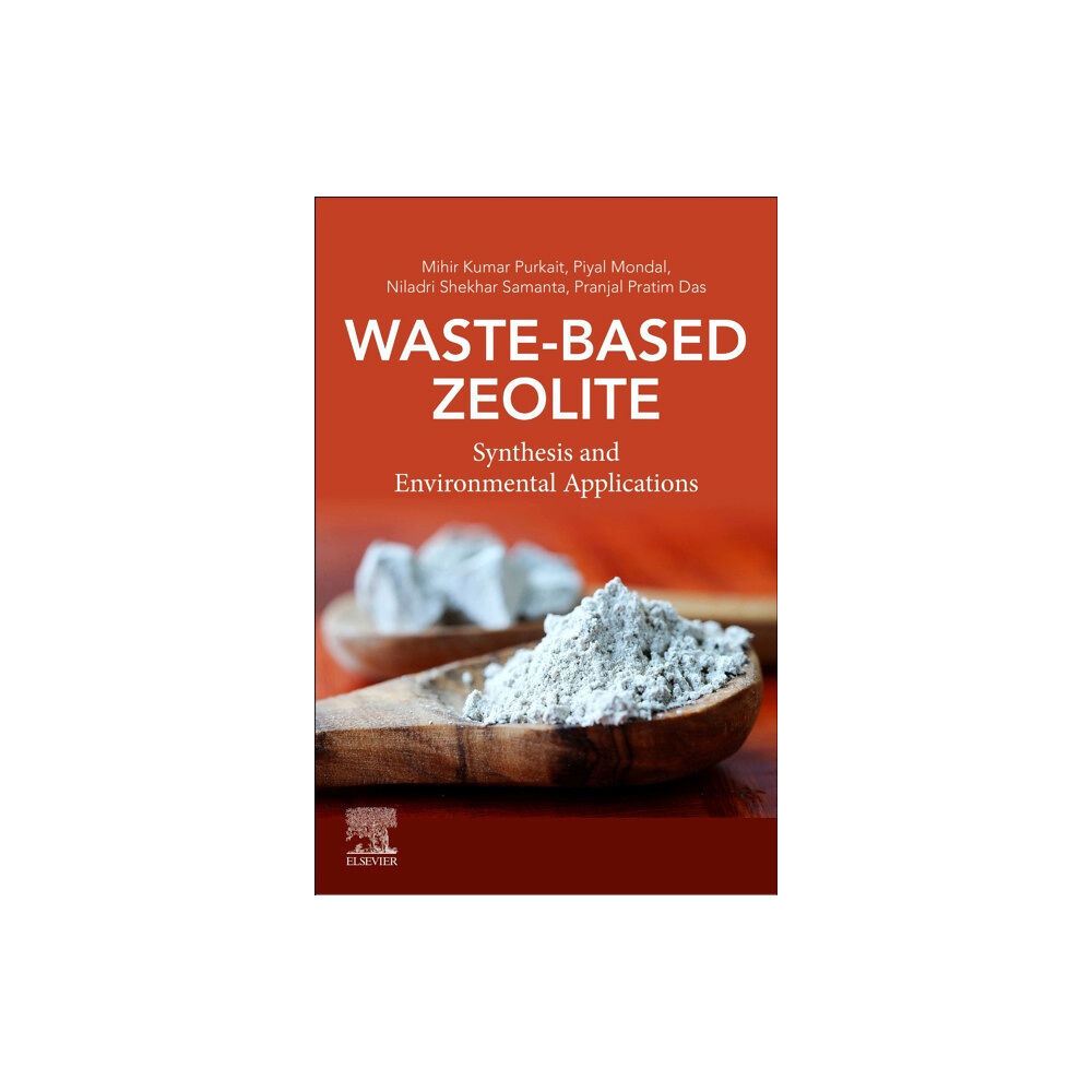 Elsevier - Health Sciences Division Waste-Based Zeolite (häftad, eng)