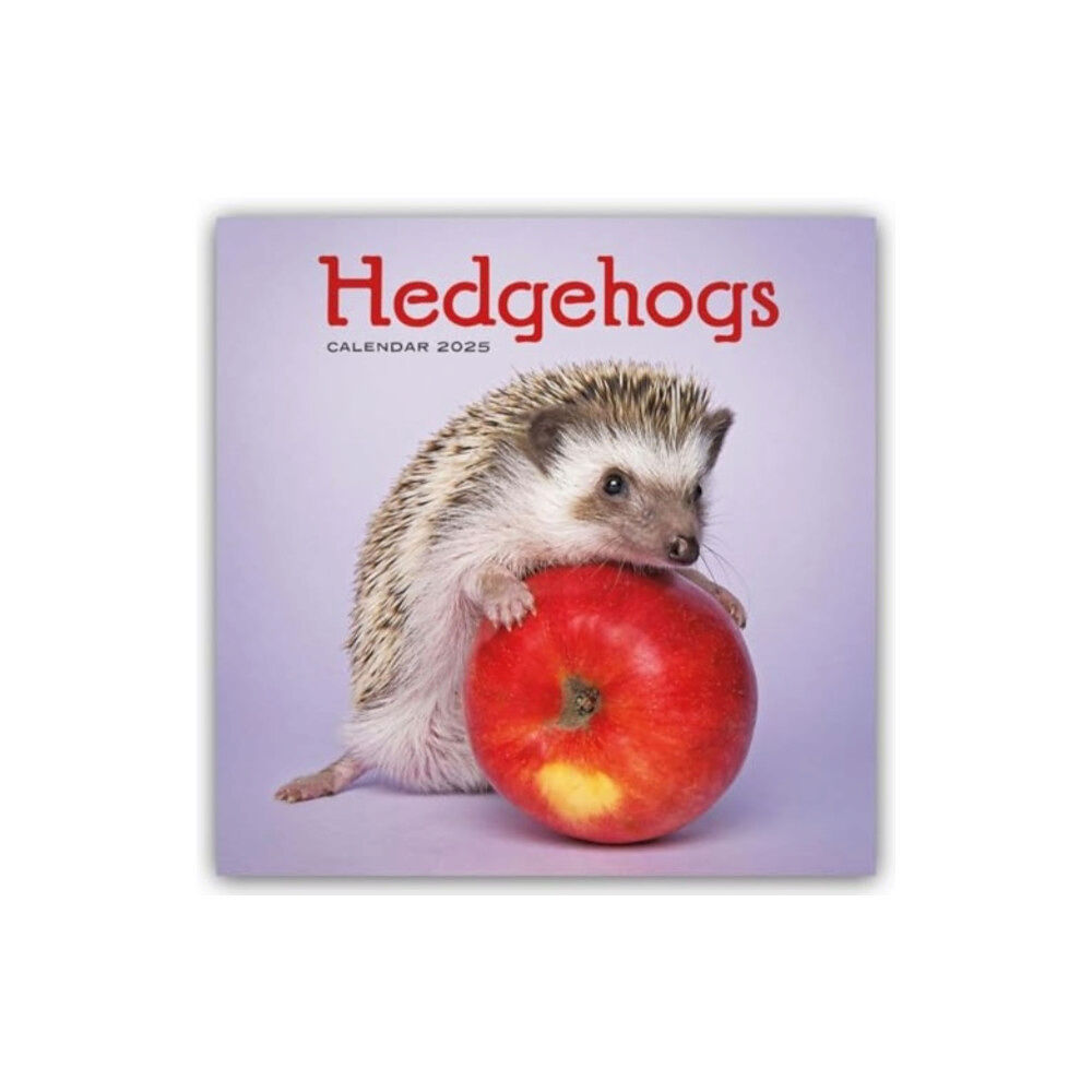 Carousel Calendars Hedgehogs Square Wall Calendar 2025 (häftad, eng)