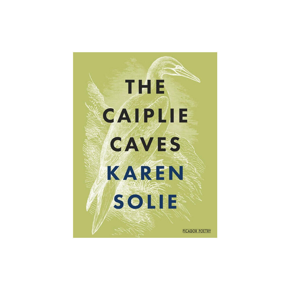 Pan Macmillan The Caiplie Caves (häftad, eng)