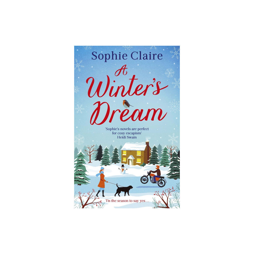 Hodder & Stoughton A Winter's Dream (häftad, eng)