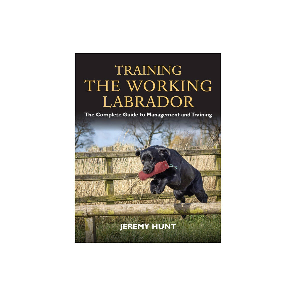 Quiller Publishing Ltd Training the Working Labrador (häftad, eng)