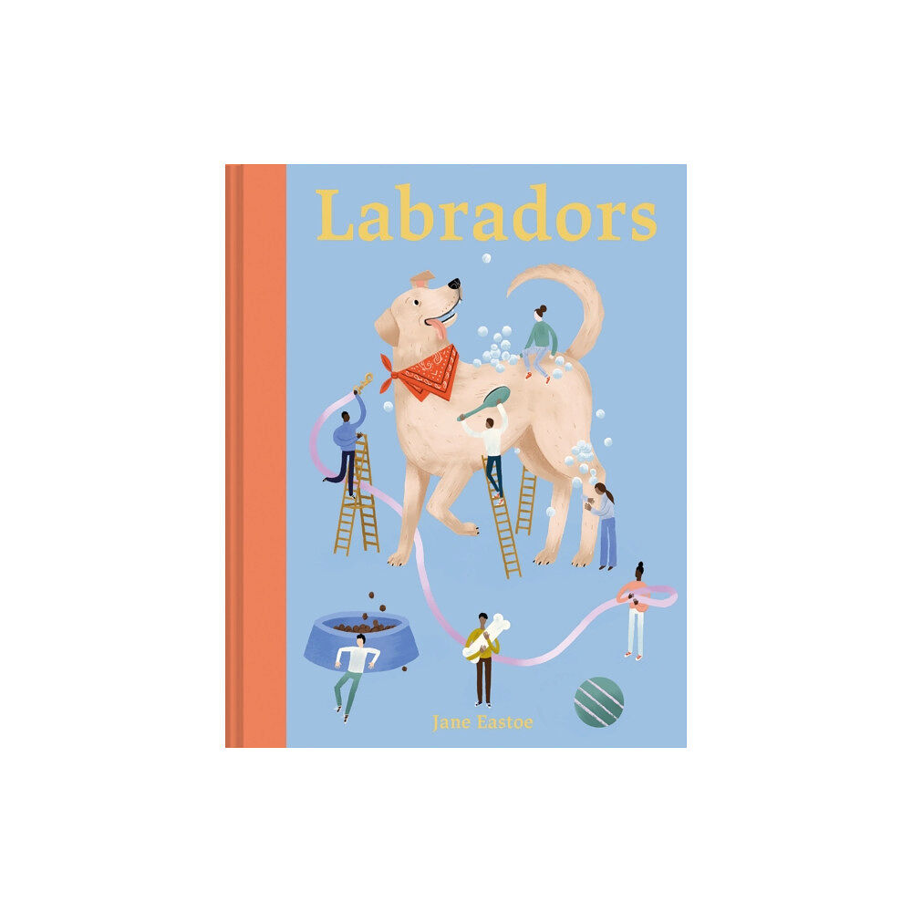 Batsford Ltd Labradors (inbunden, eng)