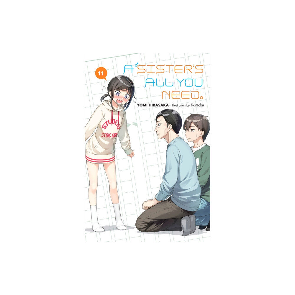 Little, Brown & Company A Sister's All You Need., Vol. 11 (light novel) (häftad, eng)