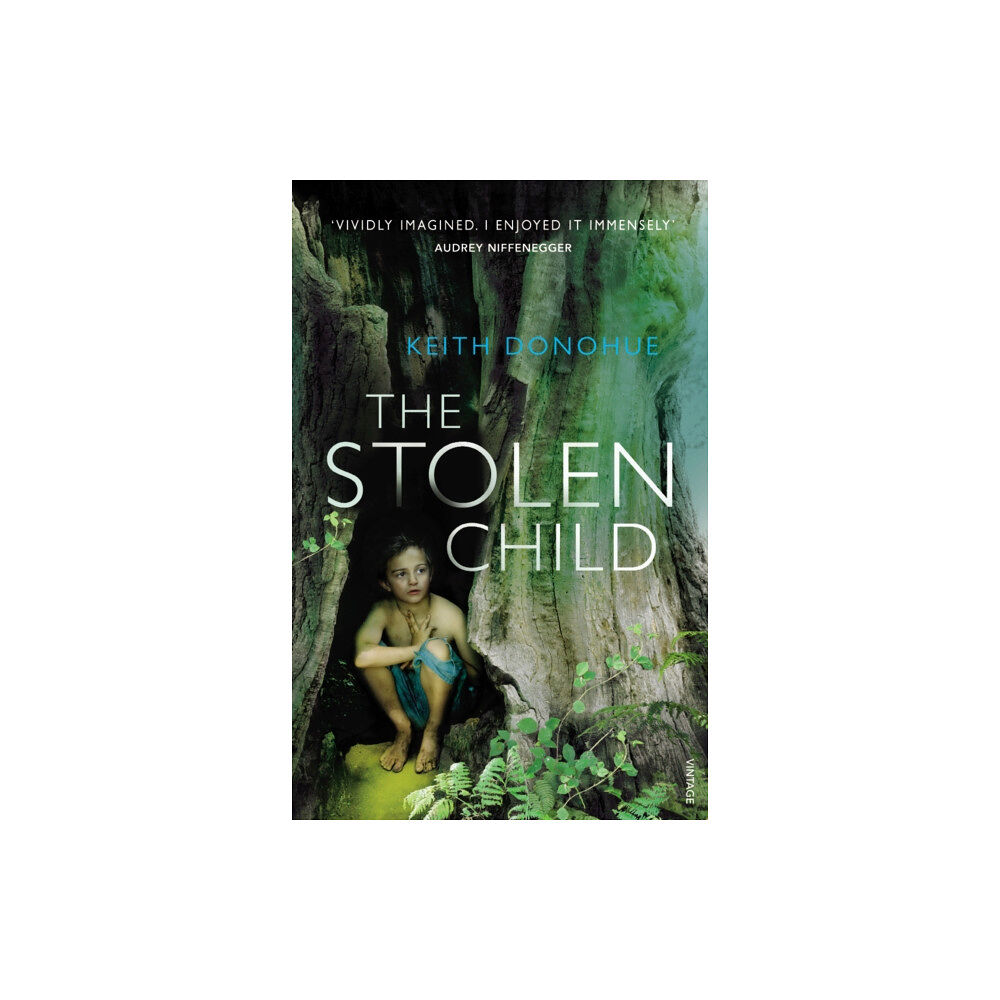 Vintage Publishing The Stolen Child (häftad, eng)