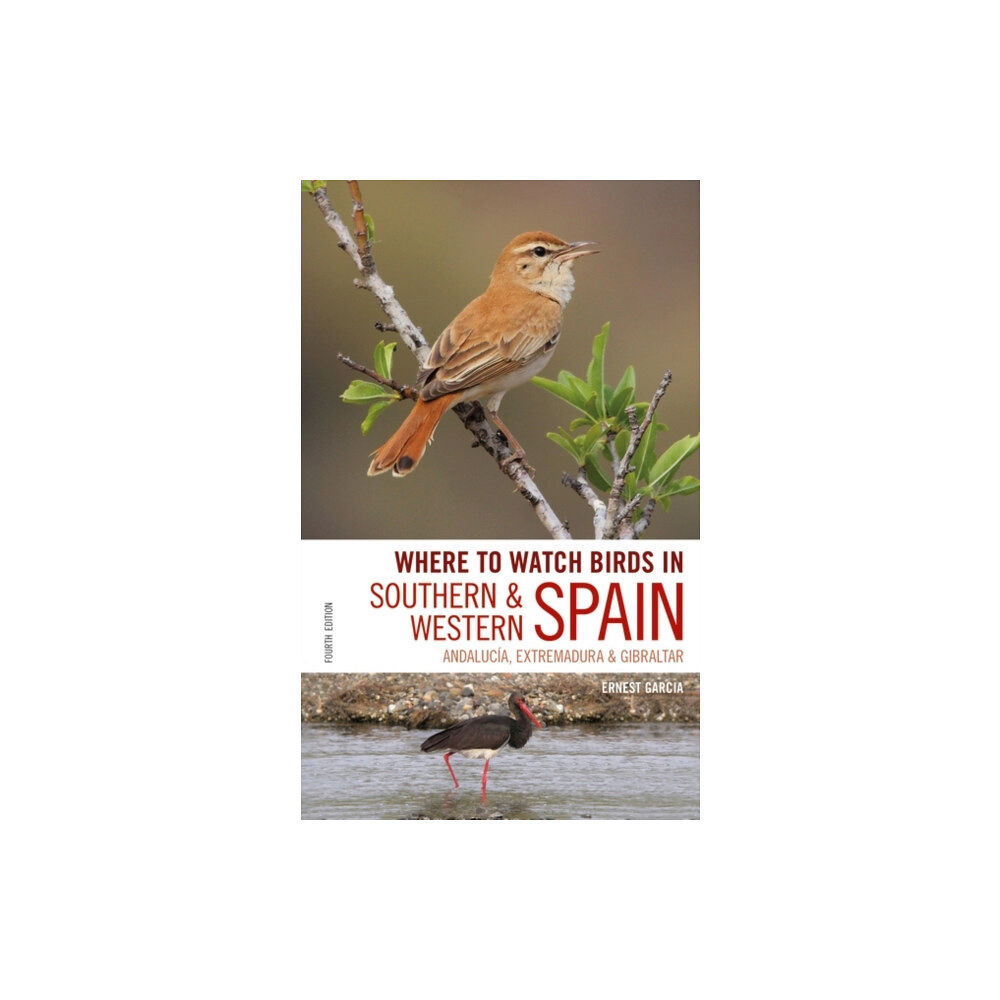 Bloomsbury Publishing PLC Where to Watch Birds in Southern and Western Spain (häftad, eng)