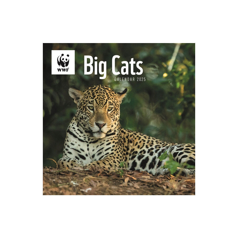 Carousel Calendars WWF Big Cats Square Wall Calendar 2025 (häftad, eng)