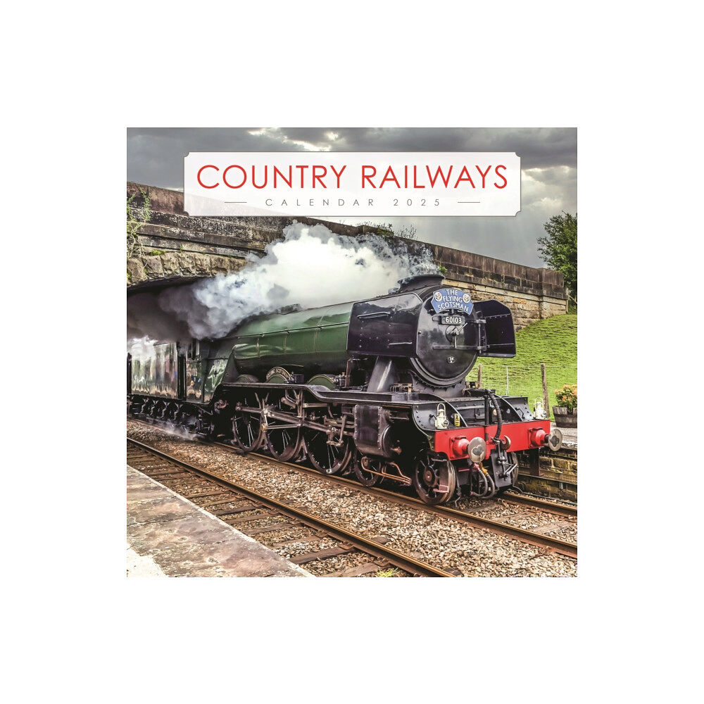 Carousel Calendars Country Railways Wiro Wall Calendar 2025 (häftad, eng)