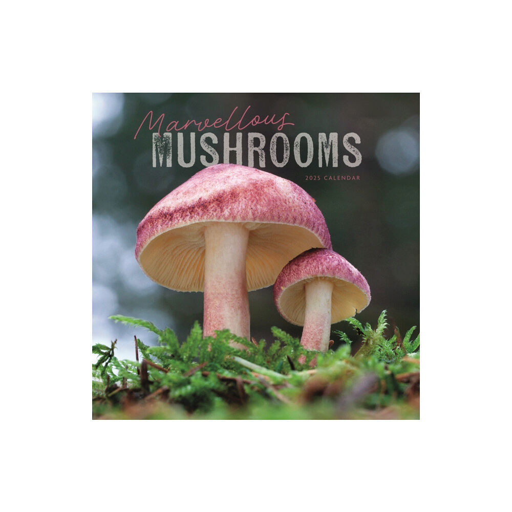 Carousel Calendars Marvellous Mushrooms Square Wall Calendar 2025 (häftad, eng)