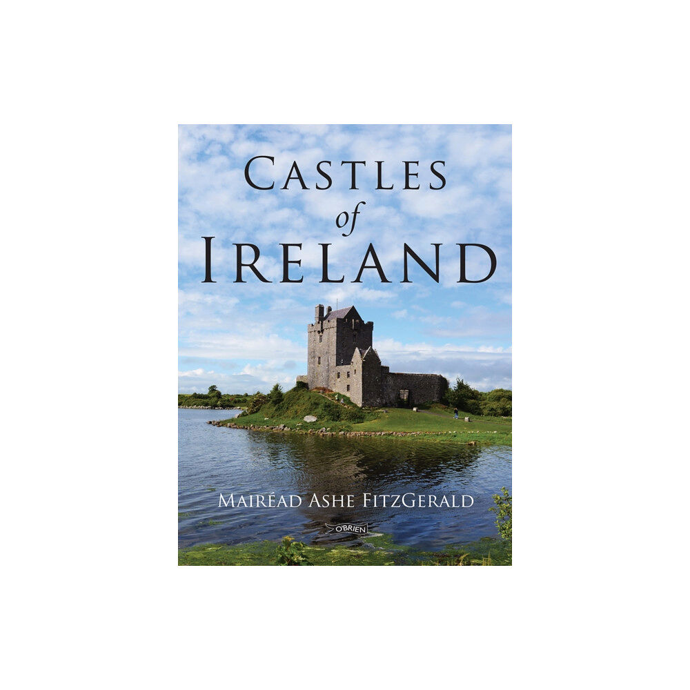 O'Brien Press Ltd Castles of Ireland (häftad, eng)