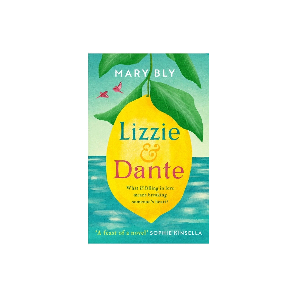 Little, Brown Book Group Lizzie and Dante: 'A feast of a novel' Sophie Kinsella (häftad, eng)
