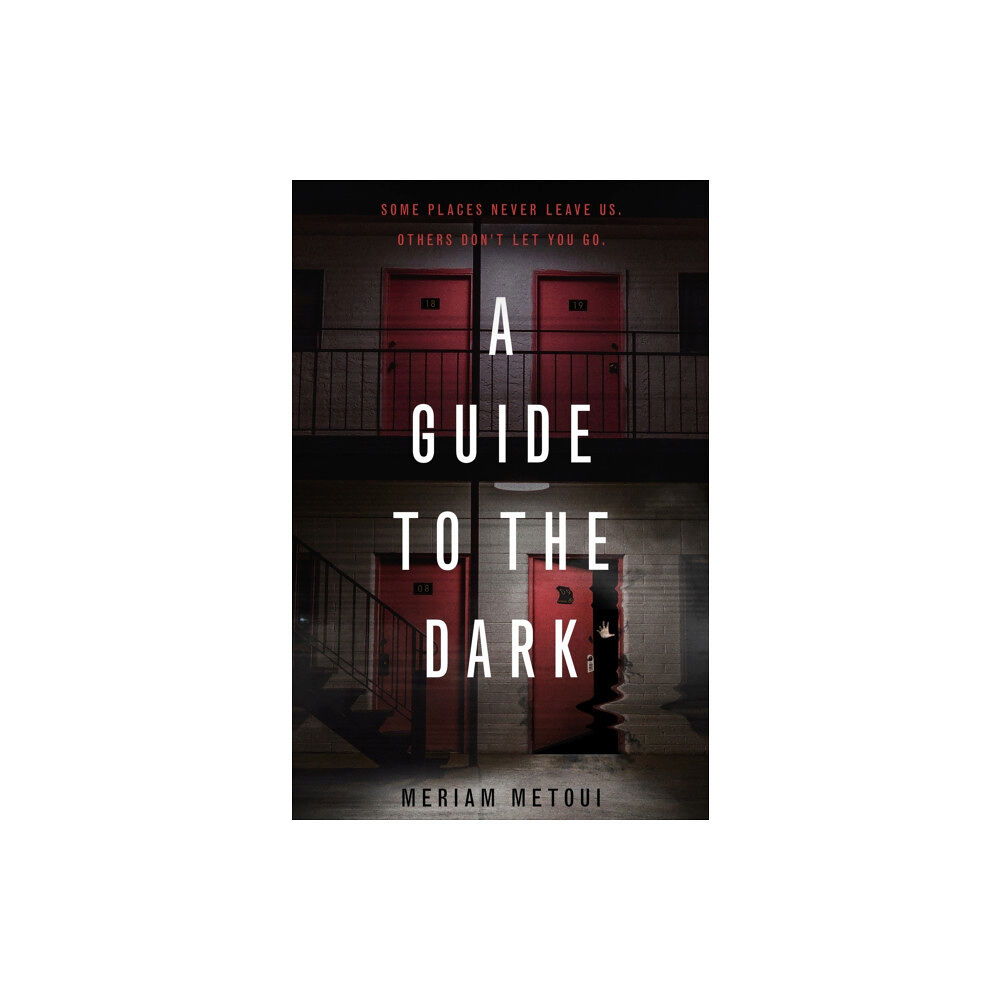 Palgrave USA A Guide to the Dark (häftad, eng)