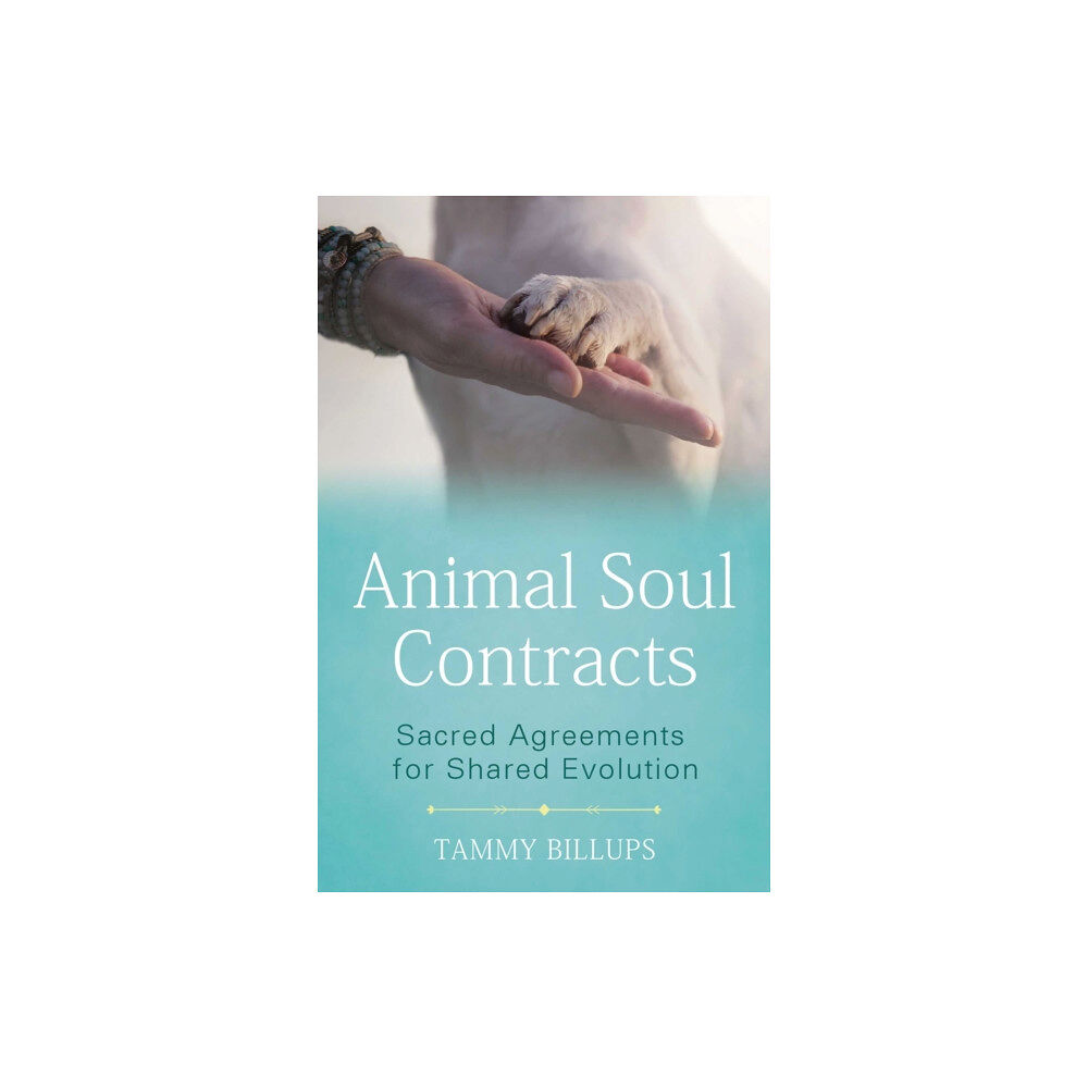 Inner Traditions Bear and Company Animal Soul Contracts (häftad, eng)