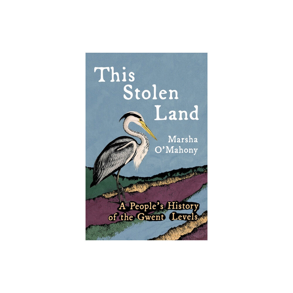 Poetry Wales Press This Stolen Land (häftad, eng)