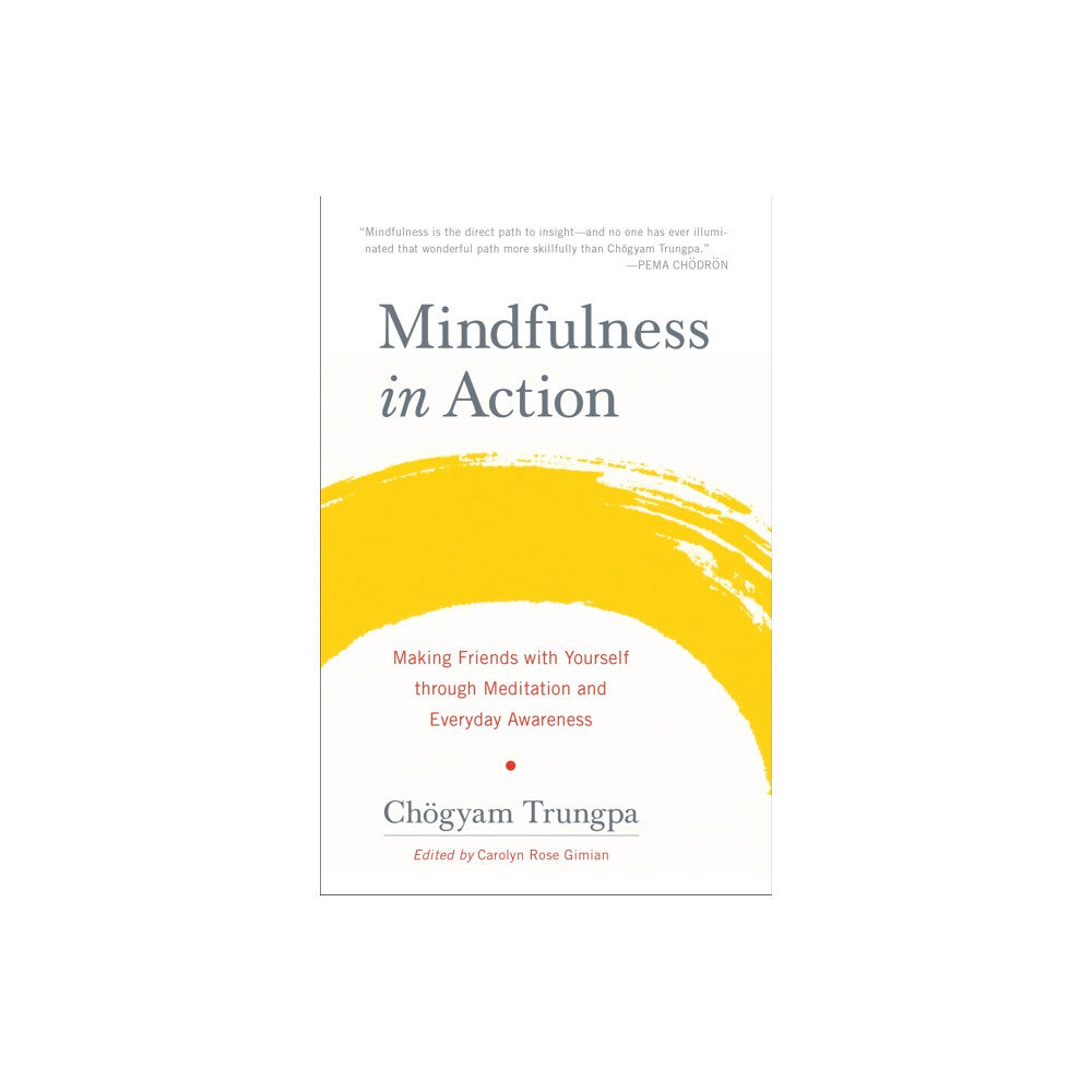 Shambhala Publications Inc Mindfulness in Action (häftad, eng)