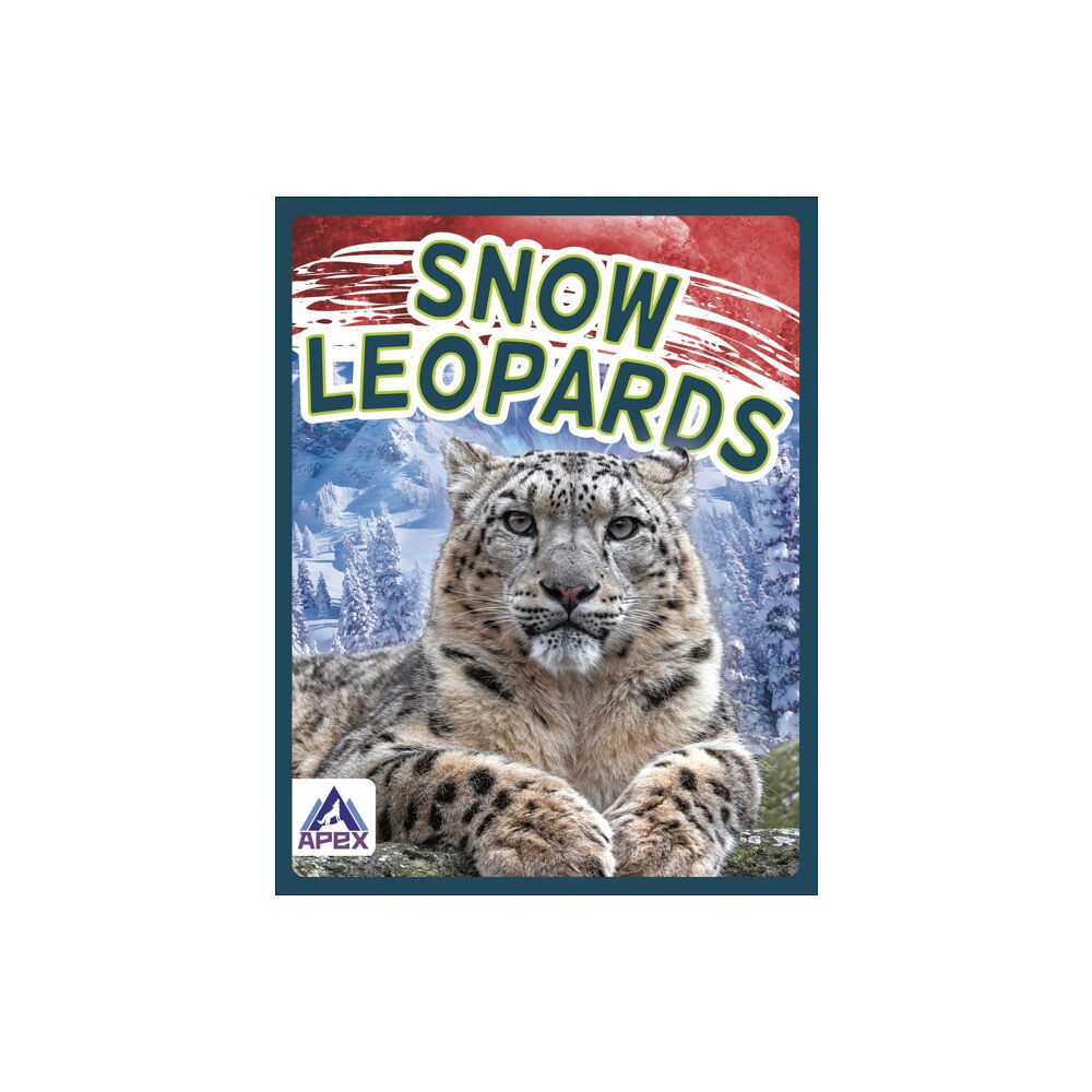 North Star Editions Wild Cats: Snow Leopards (häftad, eng)