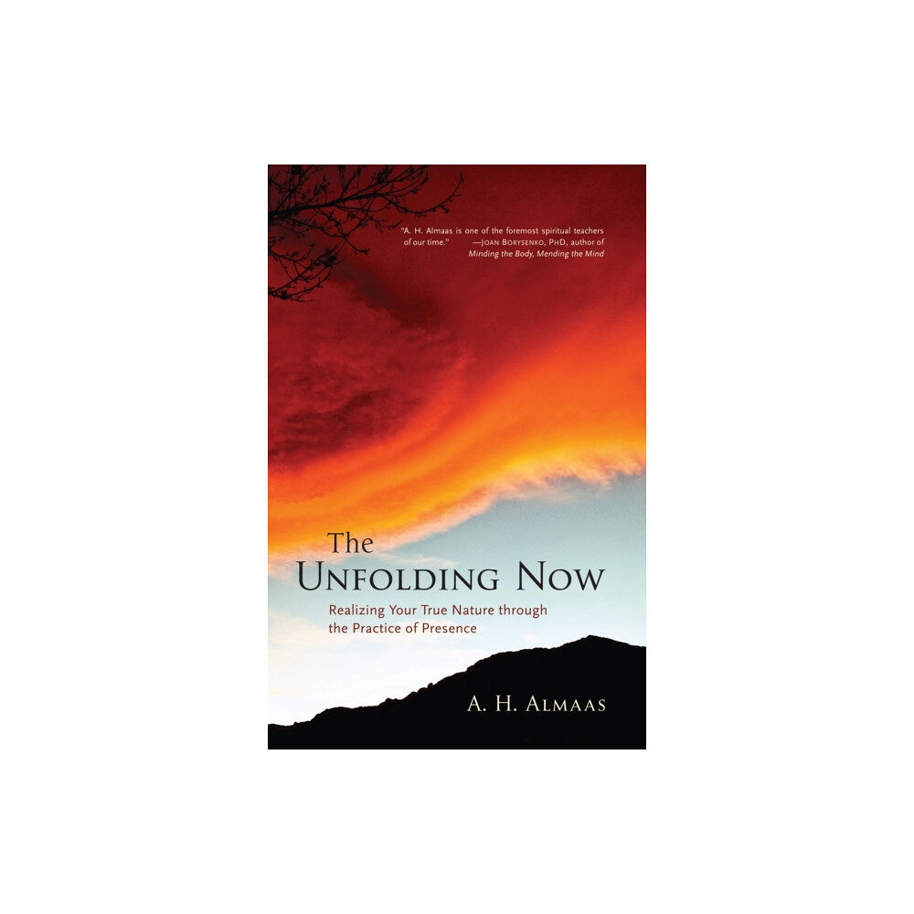 Shambhala Publications Inc The Unfolding Now (häftad, eng)