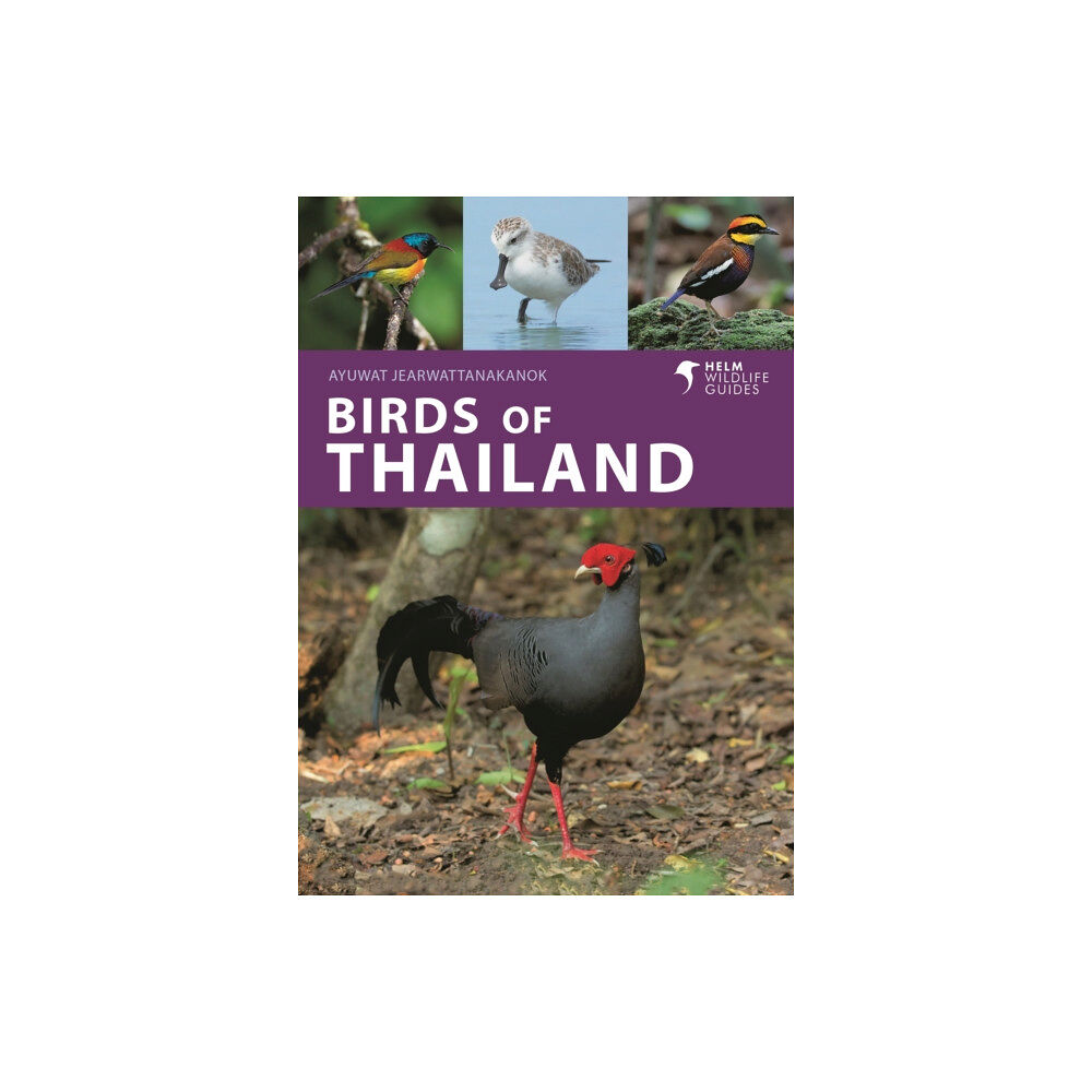 Bloomsbury Publishing PLC Birds of Thailand (häftad, eng)