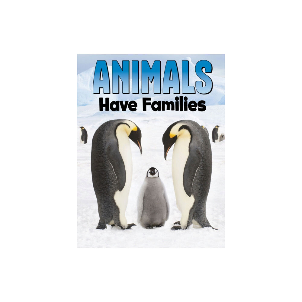 Capstone Global Library Ltd Animals Have Families (inbunden, eng)