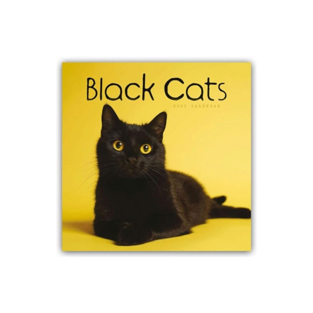 Carousel Calendars Black Cats Square Wall Calendar 2025 (häftad, eng)