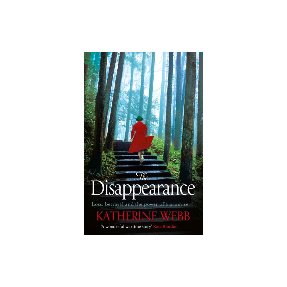 Orion Publishing Co The Disappearance (häftad, eng)