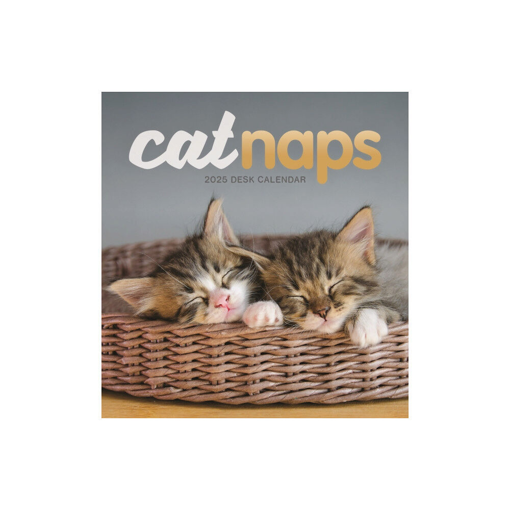 Carousel Calendars Cat Naps Easel Desk Calendar 2025 (häftad, eng)