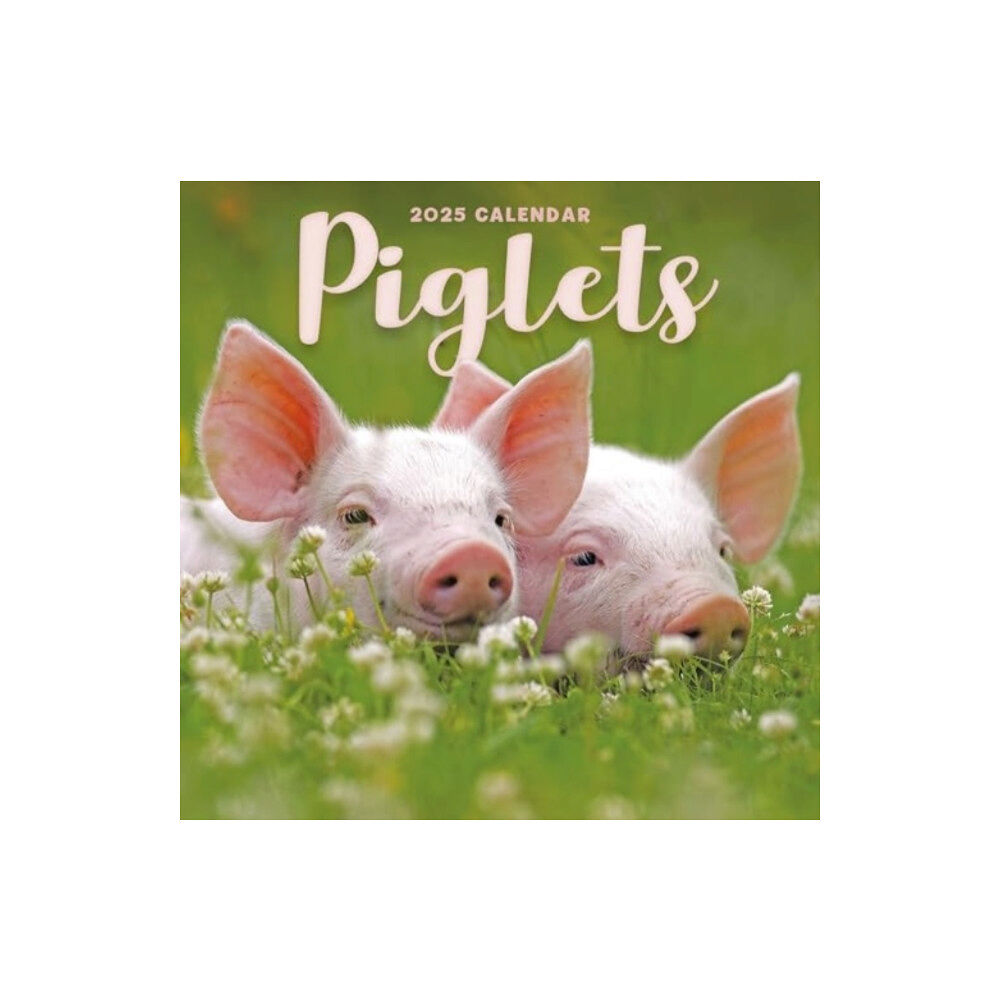 Carousel Calendars Piglets Square Mini Calendar 2025 (häftad, eng)