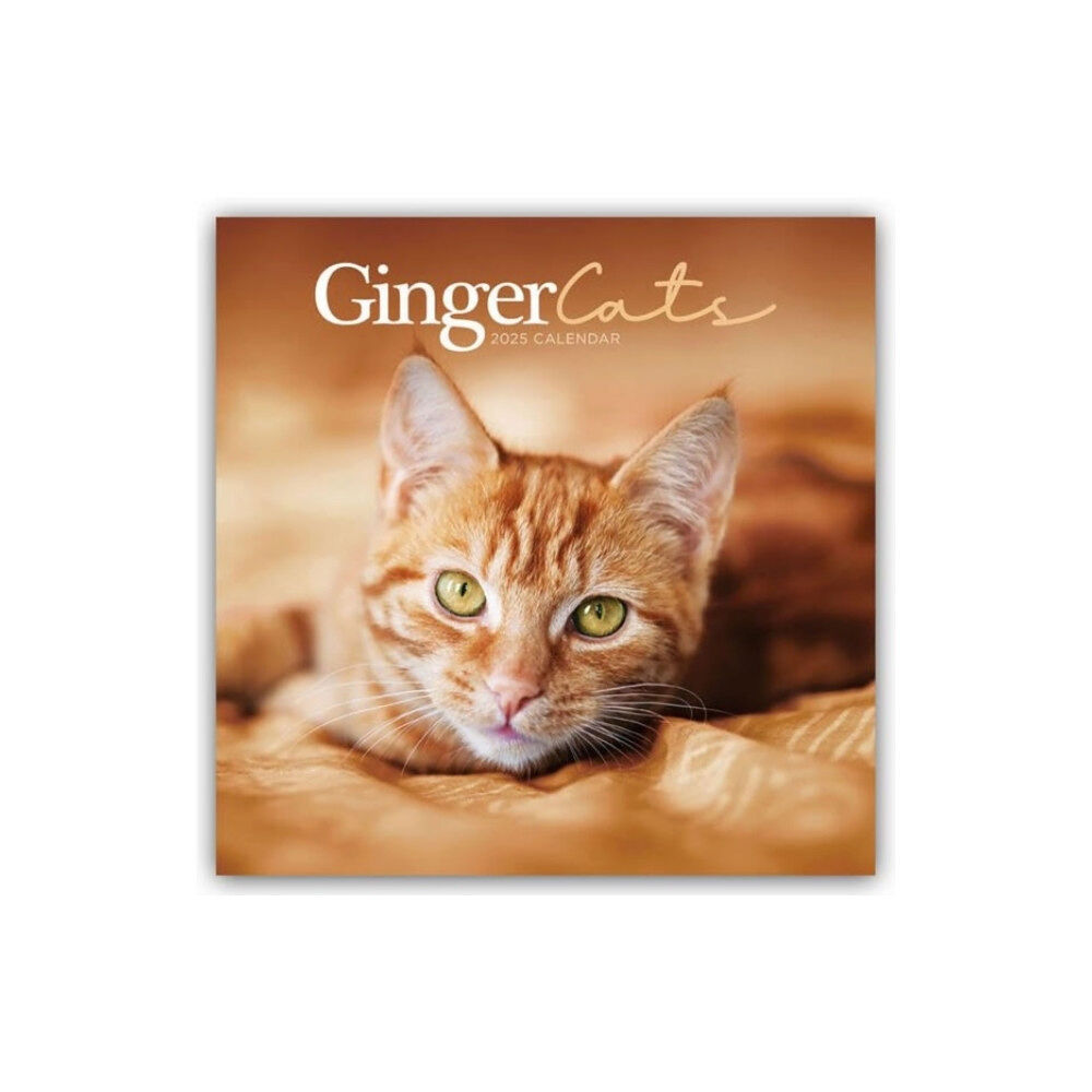 Carousel Calendars Ginger Cats Square Wall Calendar 2025 (häftad, eng)