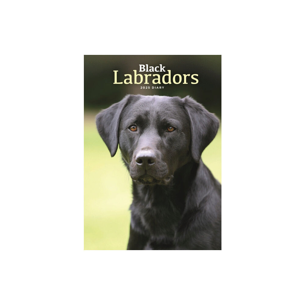 Carousel Calendars Labrador Retrievers Black A5 Diary 2025 (häftad, eng)