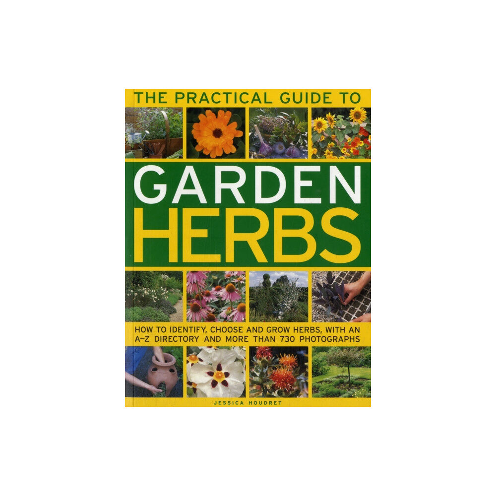 Anness publishing Practical Guide to Garden Herbs (häftad, eng)