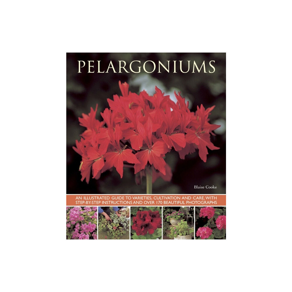 Anness publishing Pelargoniums (häftad, eng)