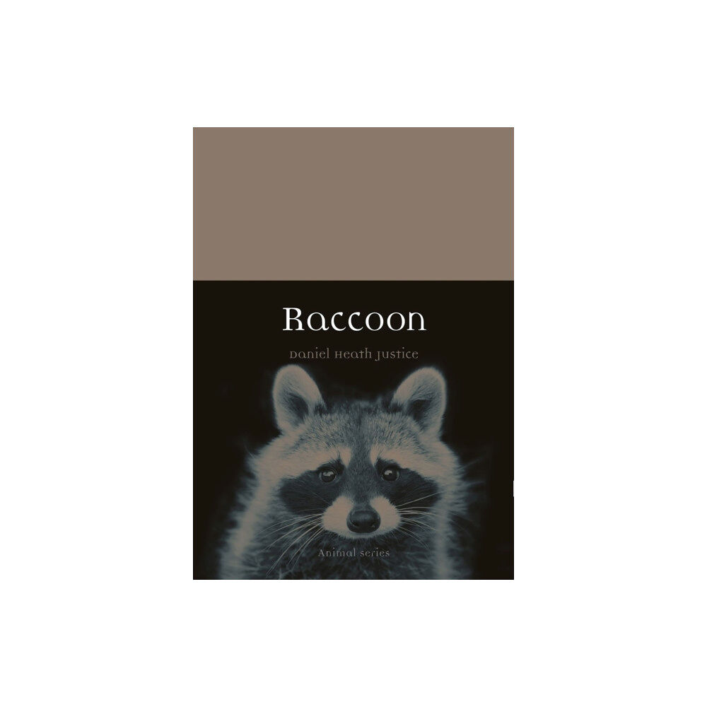 Reaktion Books Raccoon (häftad, eng)