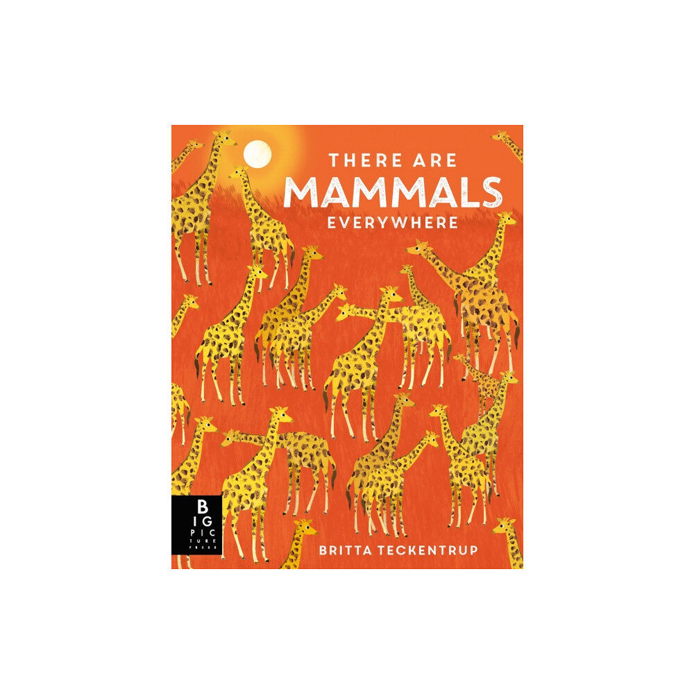 Templar Publishing There are Mammals Everywhere (inbunden, eng)