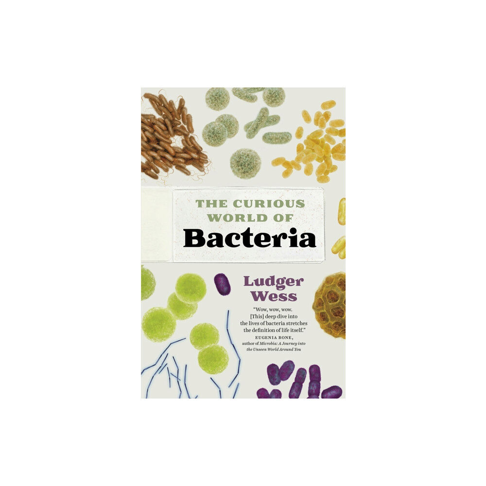 Greystone Books,Canada The Curious World of Bacteria (inbunden, eng)