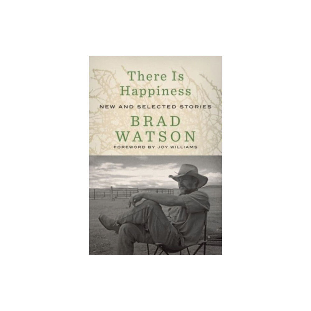 WW Norton & Co There Is Happiness (inbunden, eng)