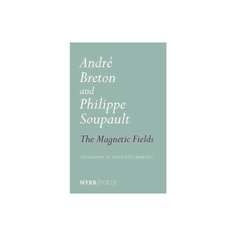 The New York Review of Books, Inc Magnetic Fields (häftad, eng)