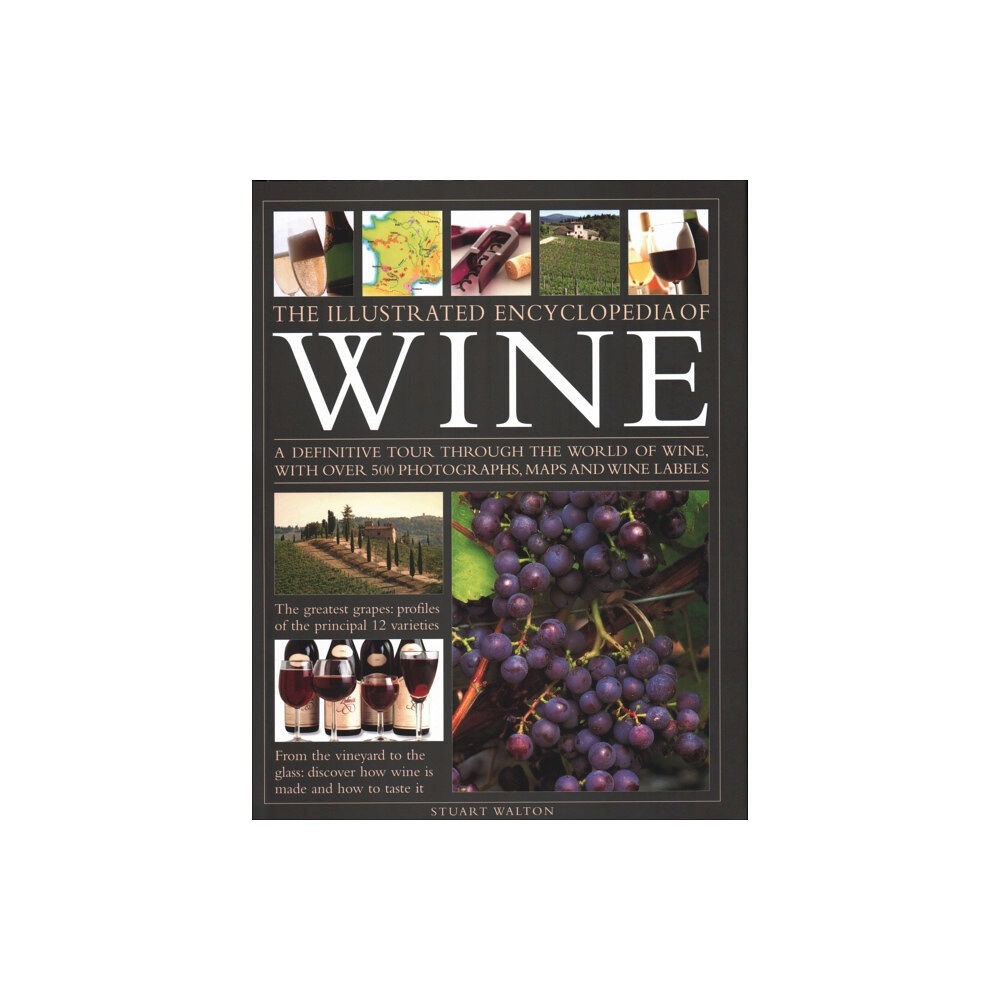 Anness publishing The New Illustrated Guide to Wine (inbunden, eng)