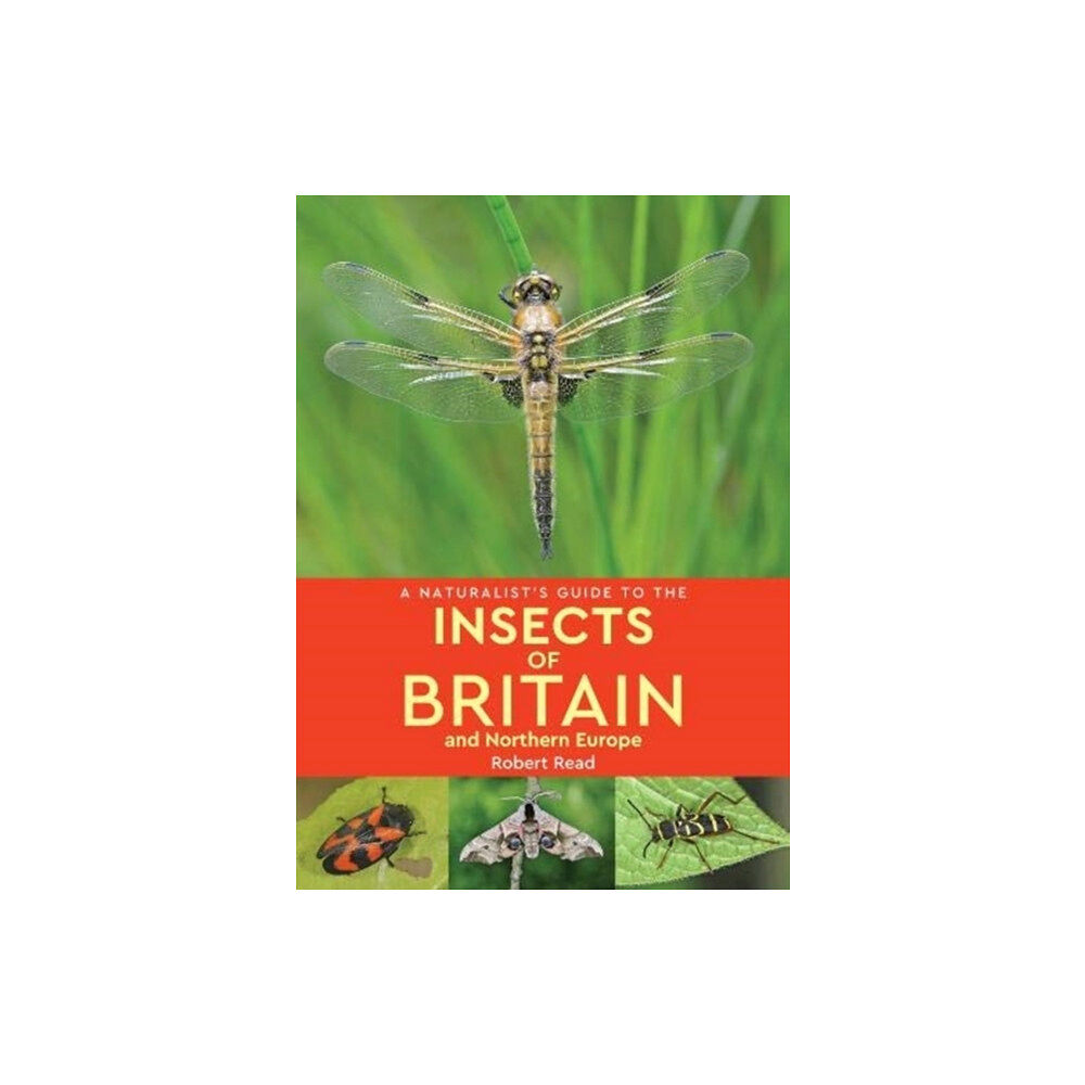 John Beaufoy Publishing Ltd A Naturalist's Guide to the Insects of Britain and Northern Europe (2nd edition) (häftad, eng)