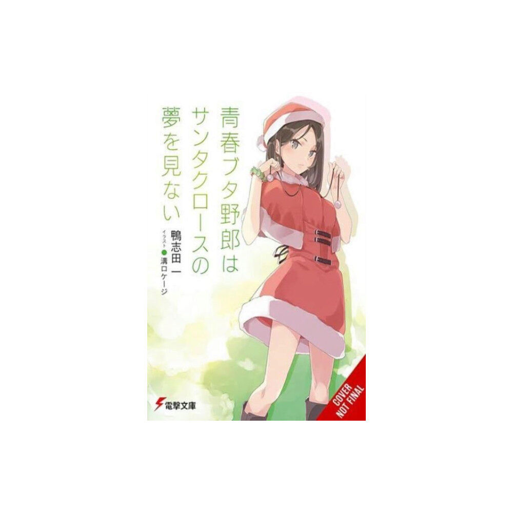 Little, Brown & Company Rascal Does Not Dream of Santa Claus (light novel) (häftad, eng)