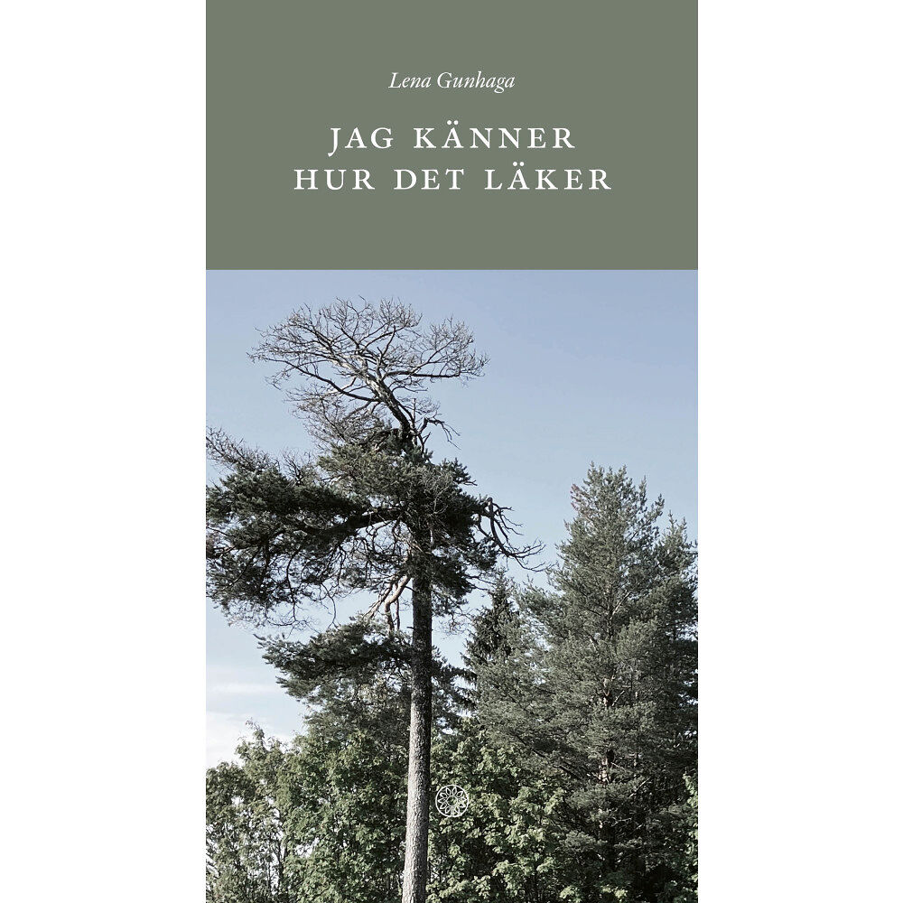 Lena Gunhaga Jag känner hur det läker (inbunden)