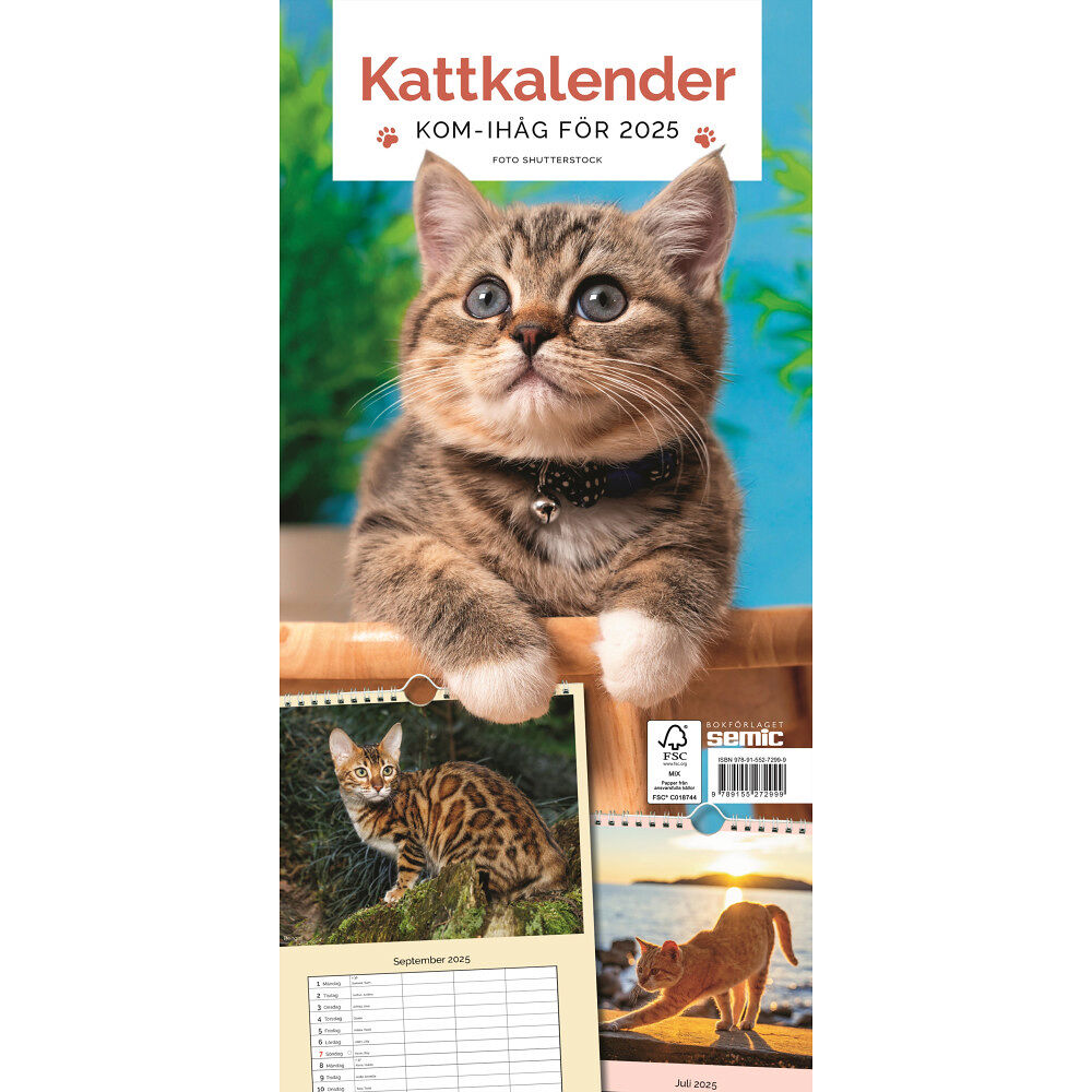 Bokförlaget Semic Kattkalender 2025 (bok, spiral)