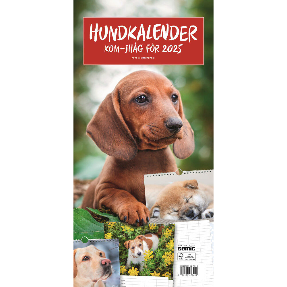 Bokförlaget Semic Hundkalender 2025 (bok, spiral)