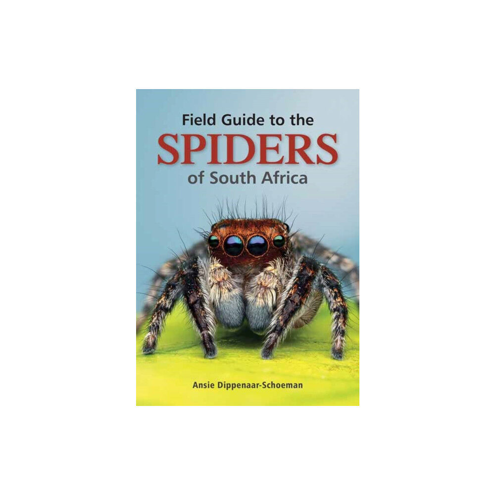 Penguin Random House South Africa Field Guide to the Spiders of South Africa (häftad, eng)