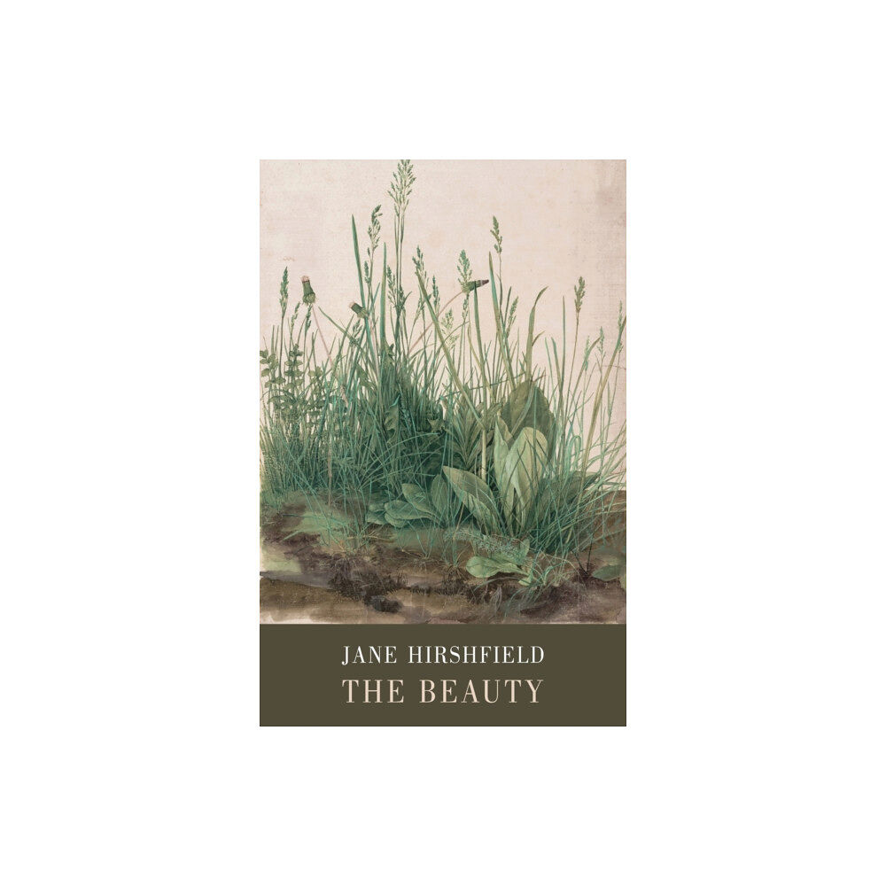 Bloodaxe Books Ltd The Beauty (häftad, eng)