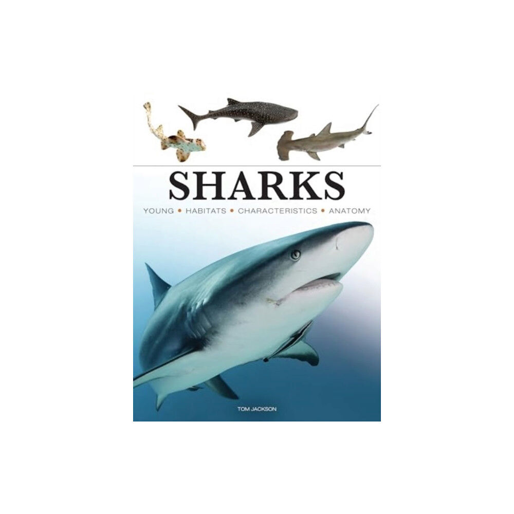 Amber Books Ltd Sharks & Underwater Predators (häftad, eng)